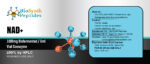 NAD+ (1000mg) Biofermented (5ml Vial) - Image 3